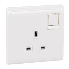13A 1G DP Sw Neon & Twin Earth Terminal, WE
